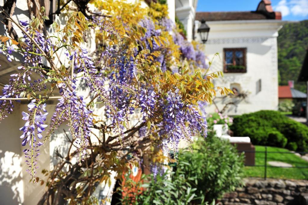 Renaissancehotel Raffelsberger Hof B&B Weissenkirchen in der Wachau Esterno foto